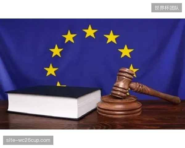 强大的行业游说力量在立法过程中影响深远，这可能导致最终出台的法规更倾向于保护商业利益而非公众利益